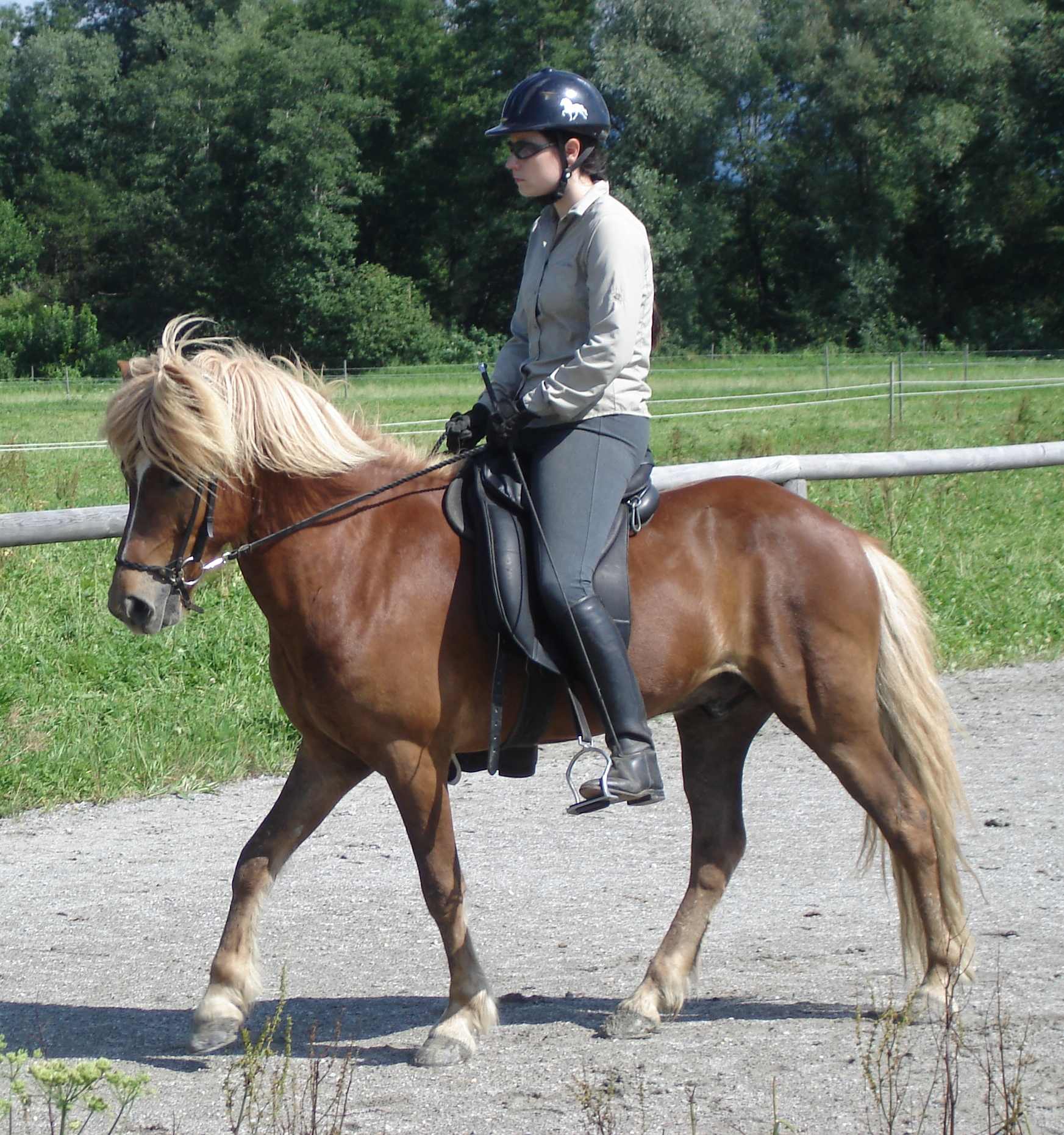 Aron Bahn Auensee